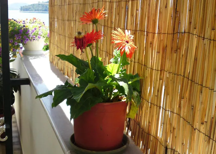 Sundy's Nydri (Lefkada)